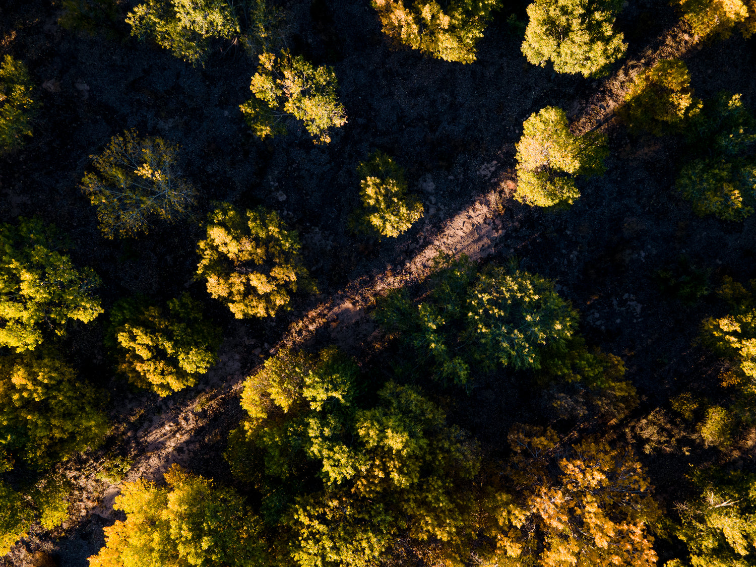 Top Down Drone Photos by Low Altitude Aerial