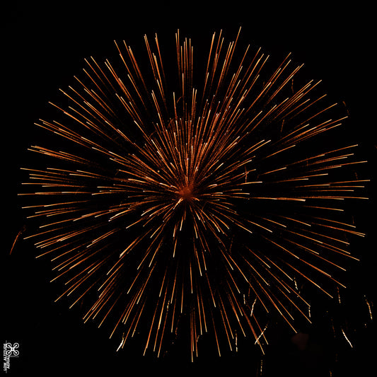 Fireworks 07