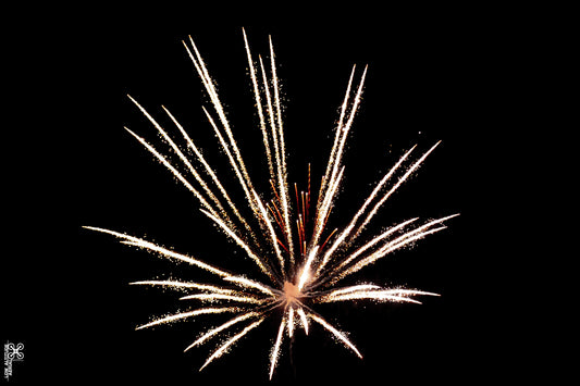 Fireworks 09